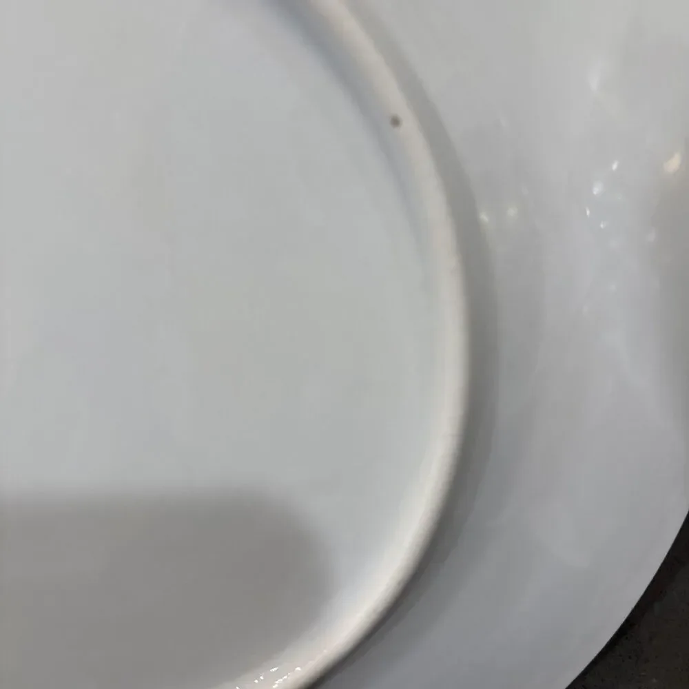 Vintage Austria HUB Hand Painted Violets Dinner PLATE - 8 5/8” Dia Peach White